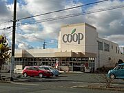 コープしずおか国府台店まで450m