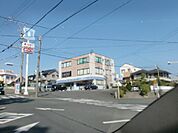 ザ・ビッグ（542m）