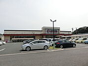 遠鉄ストア フードワン高林店（428m）
