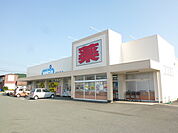 Welcia（ウエルシア） 森町森店（174m）