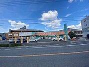 ドラックストア「ドラッグセガミ焼山店まで233ｍ」