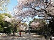 公園「比治山公園まで1423ｍ」