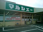 スーパー「マルシェー光南店まで239ｍ」