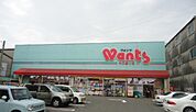 ドラックストア「ウォンツ中広通り店まで584ｍ」