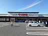 その他：キューピットかめだ三條岡店まで750m