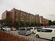 八潮市役所 300m