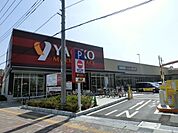 ヤオコー 300m