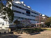 井野病院