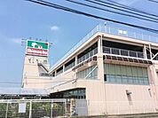 島忠ホームセンター 1300m