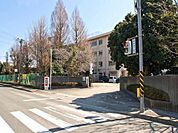 中新田小学校 240m