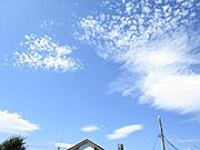 ★景色★