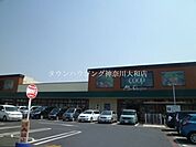 ユーコープ 徒歩5分。スーパー 340m