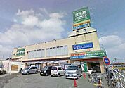 食品館あおば 532m