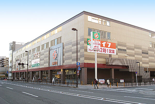 画像5:【スーパー】ライフ二条駅前店まで228ｍ
