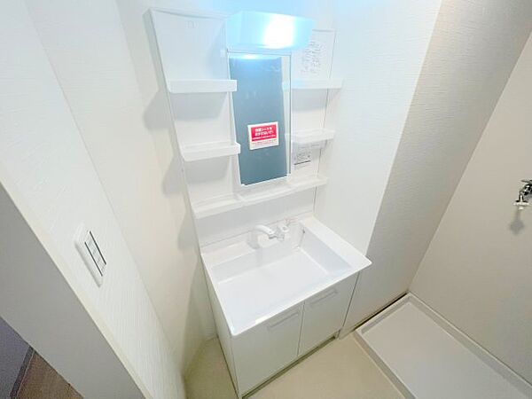 画像11:人気の独立洗面所にはうれしいシャンプードレッサーが付いてます。 