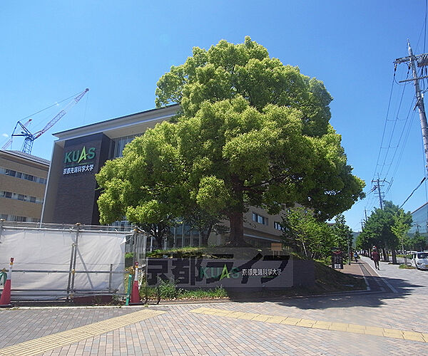 京都府京都市中京区壬生淵田町(賃貸マンション1LDK・3階・42.65㎡)の写真 その19