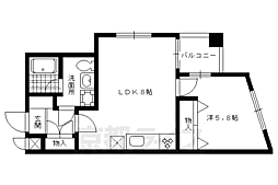 ルミエール北大路 6階/-