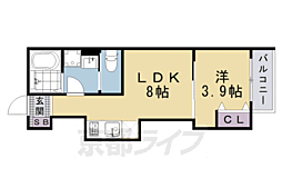 D porta pine 4階