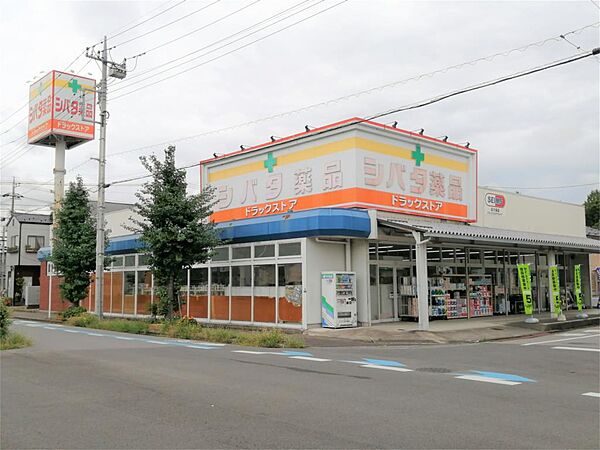 グレンツェンツルタ　B棟 201｜栃木県宇都宮市鶴田町(賃貸アパート2LDK・2階・58.87㎡)の写真 その17