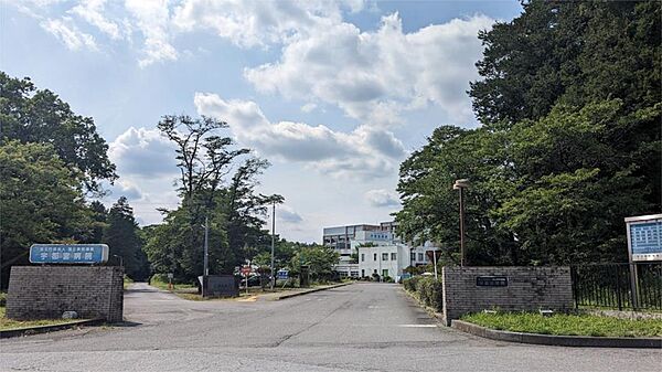 フォレストステージエフ 203｜栃木県宇都宮市下岡本町(賃貸マンション1LDK・2階・43.52㎡)の写真 その19