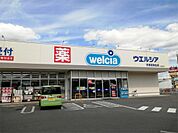 ウエルシア宇都宮駒生店（313m）