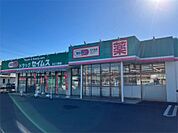 ドラッグセイムス みどり野店（658m）