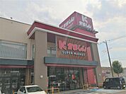 かましんカルナ駅東店（543m）
