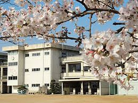 岡山市立宇野小学校(798m)
