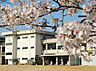 周辺：岡山市立宇野小学校（798m）