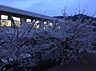 周辺：岡山市立旭東中学校（4914m）