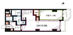 スカーラ中野新井 1LDKの間取図画像