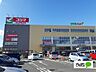 周辺：スーパー「ヨークマート北金目店まで298m」