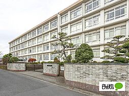 グランフィリオ