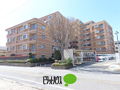外観:外観 外観:外観