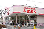 ファッションセンターしまむら椎名町店 279m