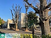 練馬区立関町図書館 徒歩16分。 1220m