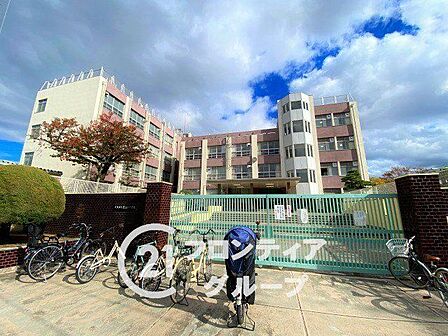 大阪市立墨江丘中学校 徒歩10分。 730m