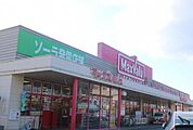 ショッピングセンター「マックスバリュ恵比須店まで315ｍ」