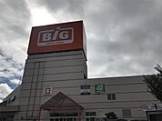 ザ・ビッグ 三郷店（3249m）