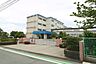周辺：浜松市立芳川北小学校 910m