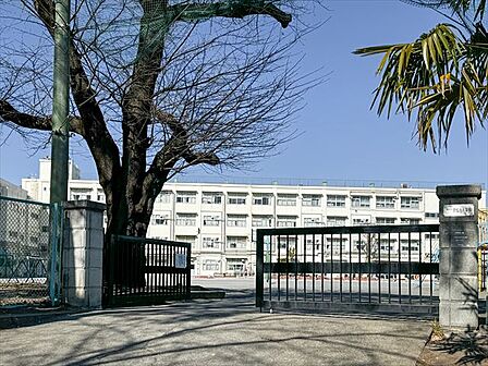 横浜市立常盤台小学校 270m