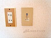 電話線