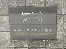 15 / 32