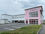 コスモス　ベルロード店まで580メートル