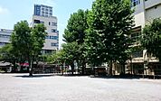 柳北公園（589m）