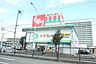 周辺：スギ薬局　松本店 1500m