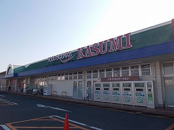 画像15:カスミ大穂店まで400m