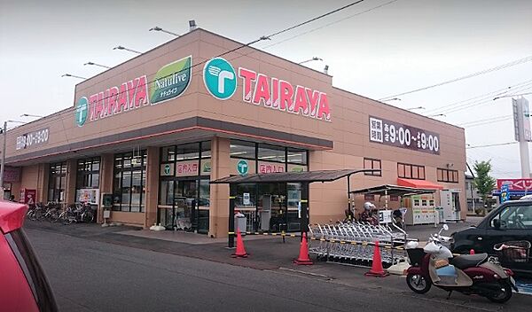 画像13:エコス TAIRAYA（たいらや） 石下店（2911m）