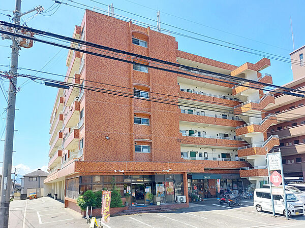 グレース辻町 306 号室｜愛媛県松山市辻町(賃貸マンション1LDK・3階・43.74㎡)の写真 その1