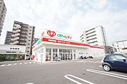 くすりのレデイ 藤原店